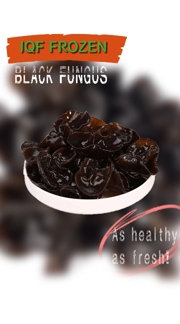 Black Fungus Featured Image