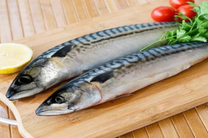 Frozen mackerel