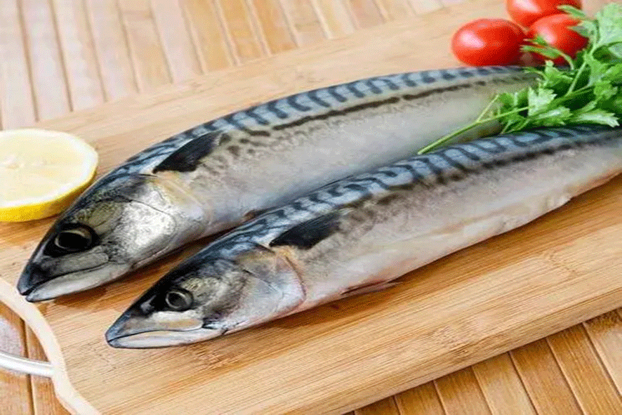 Frozen mackerel Featured Image
